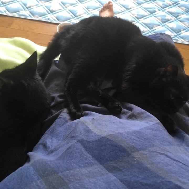 B44aae15 1912 43b7 b54e c036e9004eb9 1533426430576