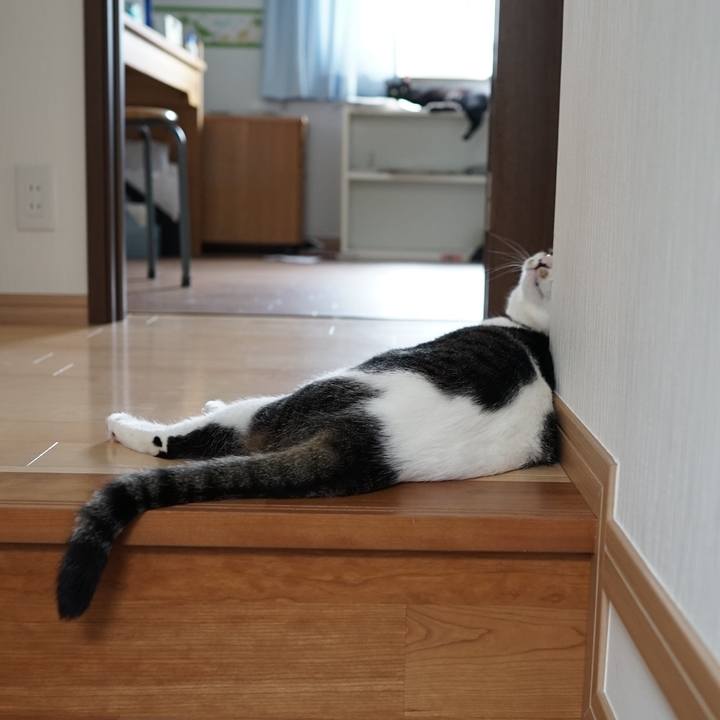 B44abad5 3ff8 4eec bc0b ae10e4c46338 1560988096463