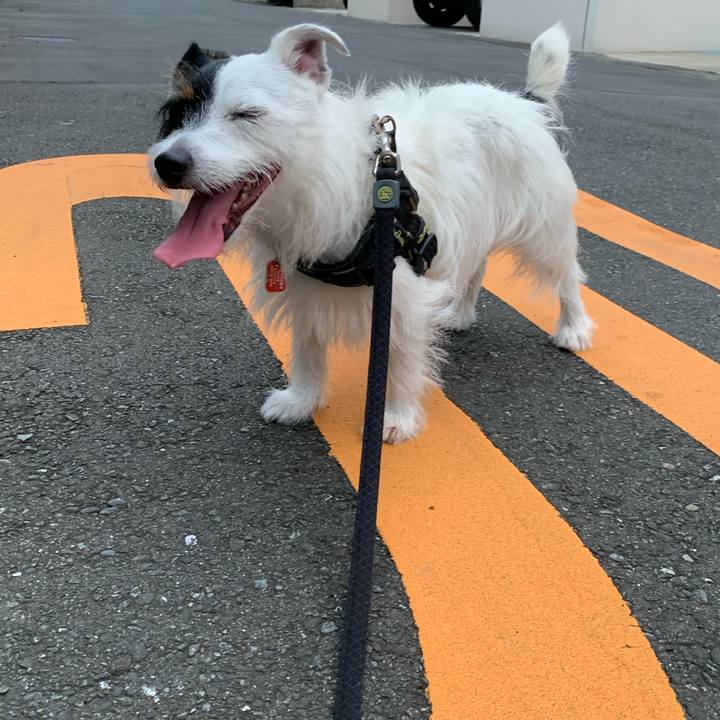 B44ad363 b5ee 436e 983d ae30efa65654 1599038080079