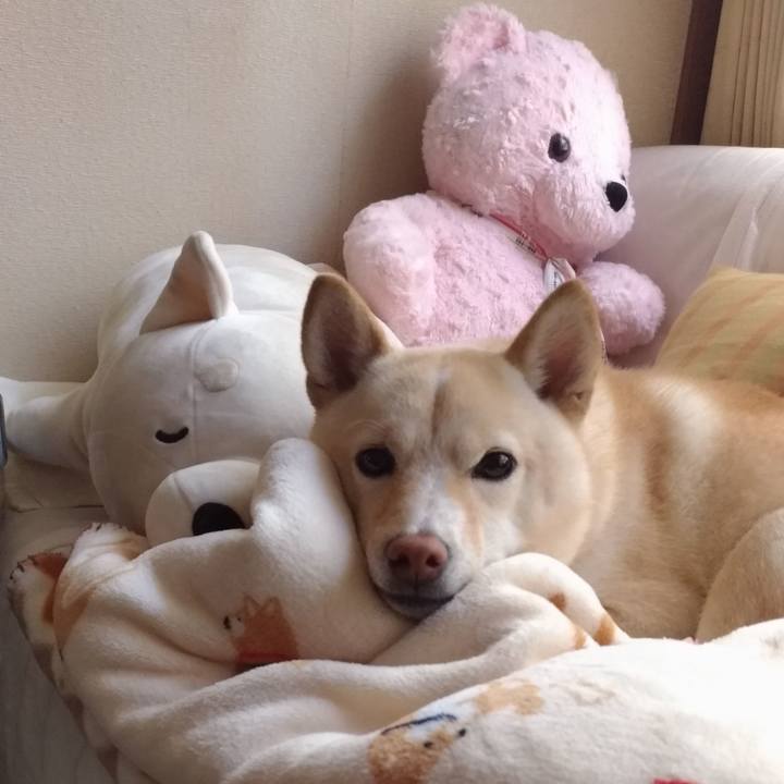 B44aeae1 5bfe 403a 9ad9 c57dd0492337 1540873404686