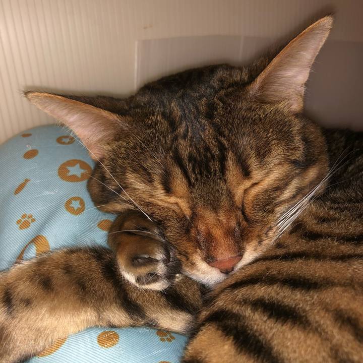 B44aed8c b497 4a12 b4fd ce3c2d69d6c5 1629588365352