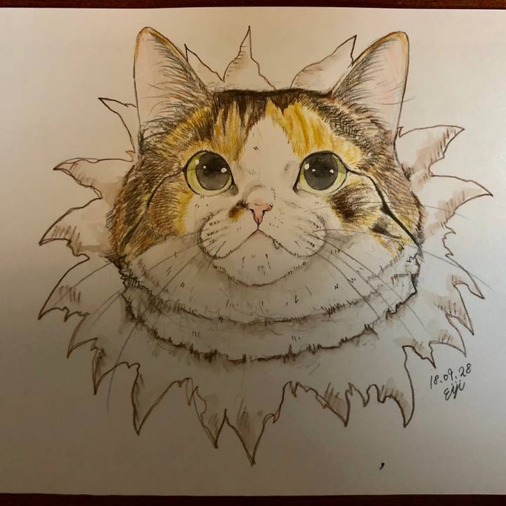 B44af022 8b29 4af8 a3c1 6b2ee1bd6d53 1538148292497