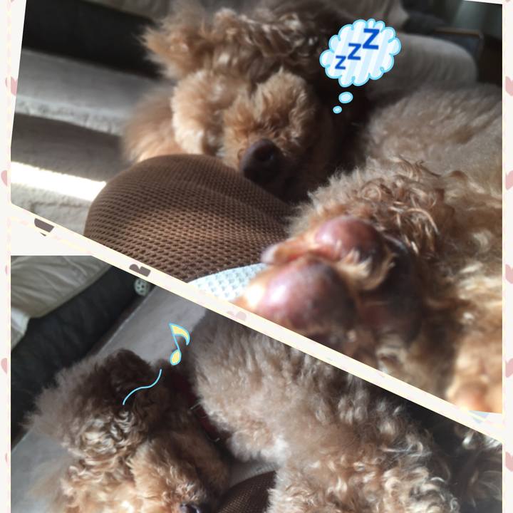 B44b1731 2002 40e1 8bf4 f28b2ceddc06 1518394702148