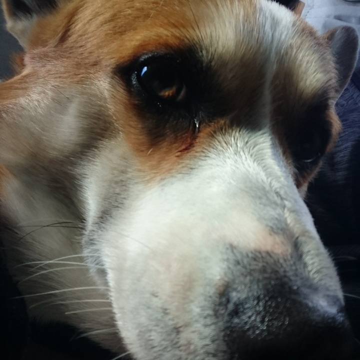 B44b20b0 28dc 4b2b 9c99 540b4942058a 1641095215402