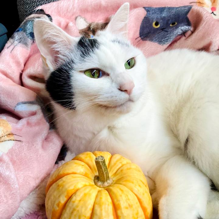 B44b321d 2bfa 4d16 be81 6007f926a3d4 1636272211473