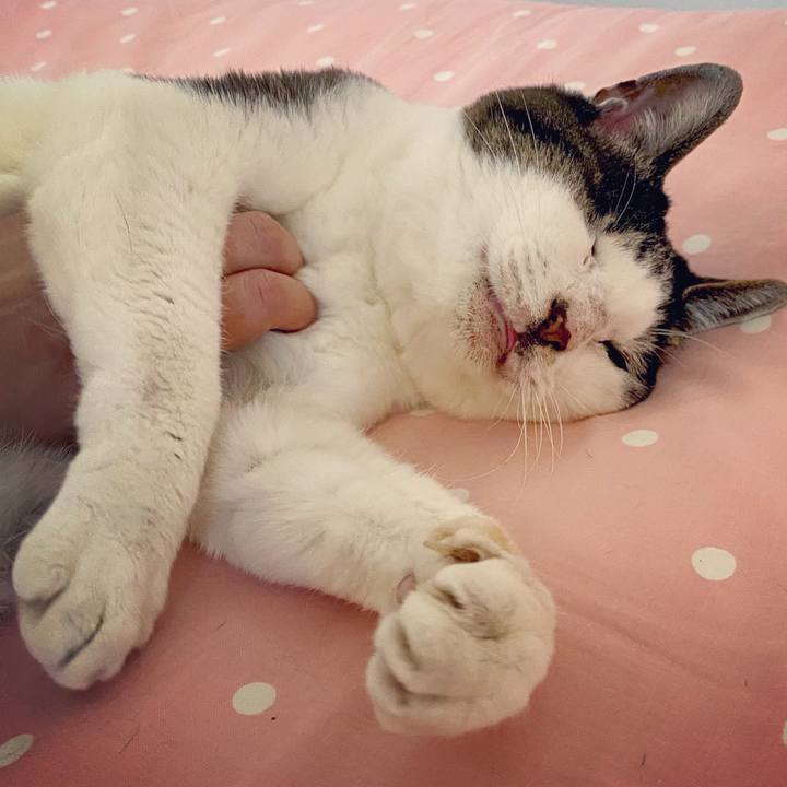 B44b4c16 8a8d 49cb a393 13bdf14b43b9 1589697169542