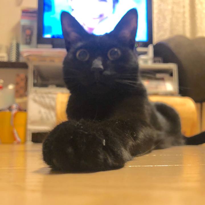 B44b75ed 30aa 40bf babd fa2b953469f2 1555807555891