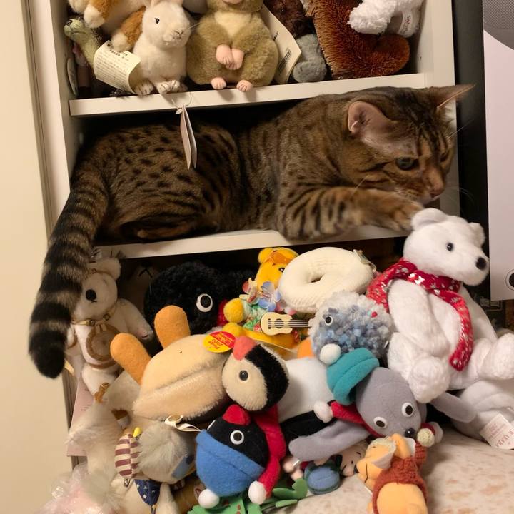 B44b8202 ff40 4caa 8ca2 243c95b3a0c1 1622416287710