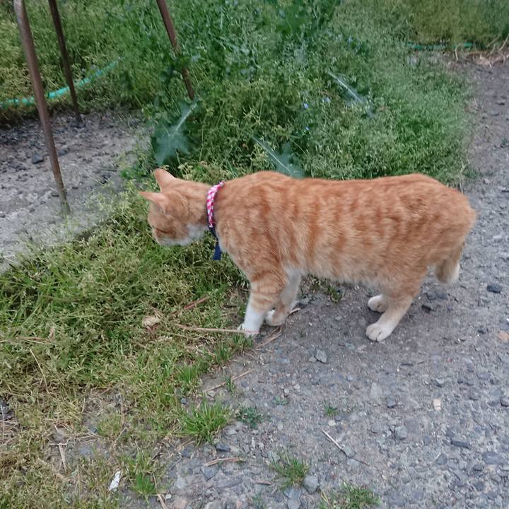 B44b8b9b f318 482c 87ab c07f4ad21237 1558172838878