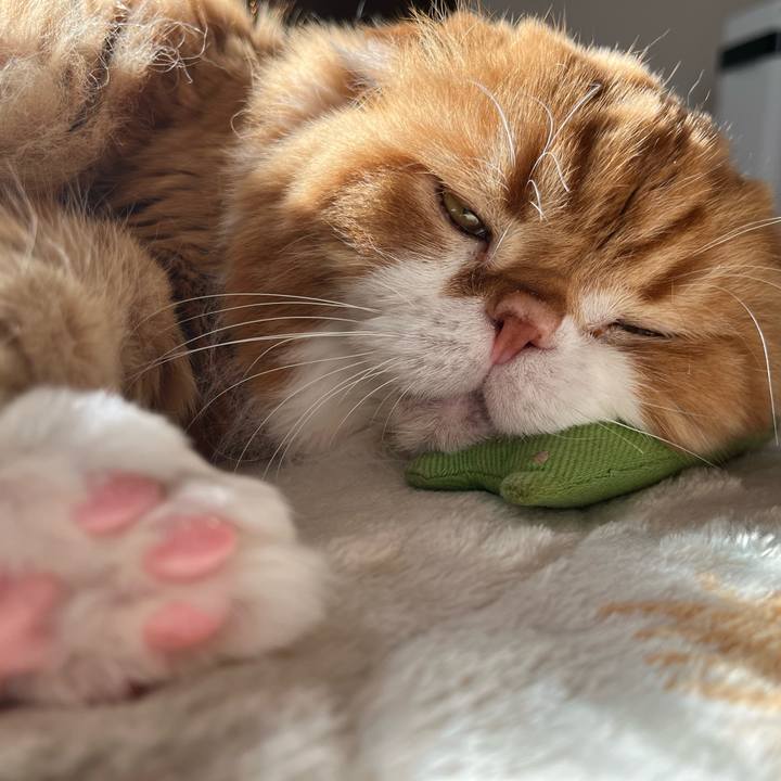 B44bb10b 2c30 47cb b22f b51f1932b1f8 1768620291015