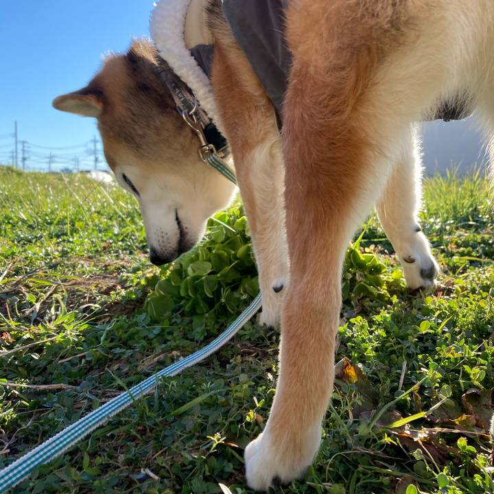 B44c2e3a 53b4 412c bb1d f0401defcc5f 1735000640253