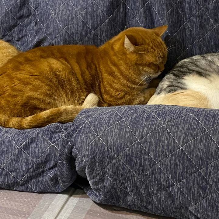 B44c3c41 7c79 4405 96c3 90a8368c8b68 1640872900170