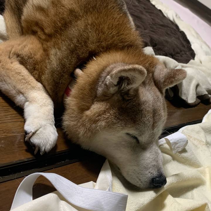 B44c4a15 712f 4187 952c 0e895de1ebc7 1682248715938