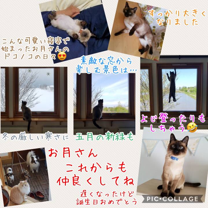 B44c9614 0f61 499f 8bc2 27e953a6ab95 1528111250834