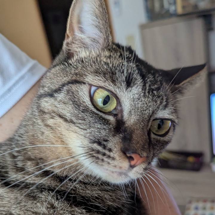 B44c9e39 b0c8 409b 8663 bcefdd8e075d 1750663036337