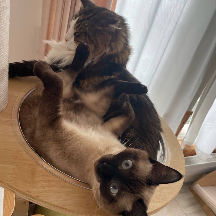 B44ca3da 460c 4bec 9345 26ceed341fba 1757097627338