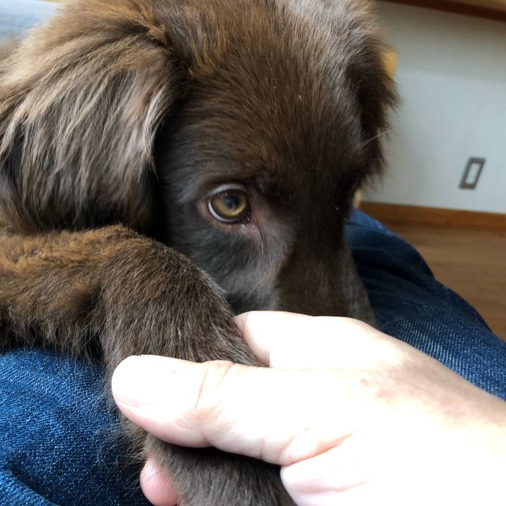 B44ccf1c 9ea1 472c a4cc 7a5076814ebe 1556068903061