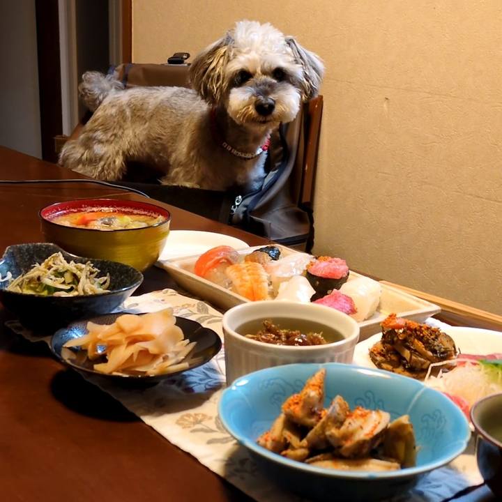 B44cd0ab ff93 4aa6 8dd9 233bfc842df2 1757791585234