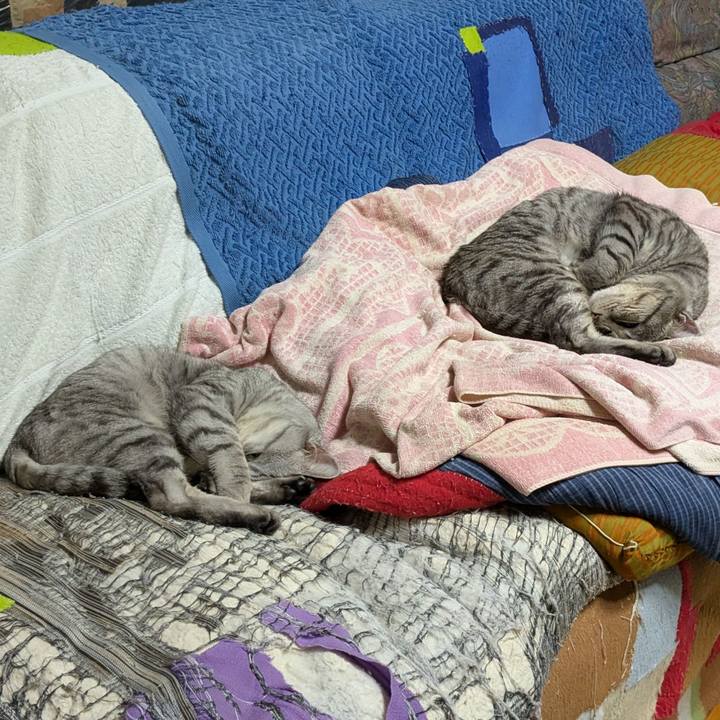 B44ce952 9f55 4f10 a5da 7ccb155d188c 1737474328736