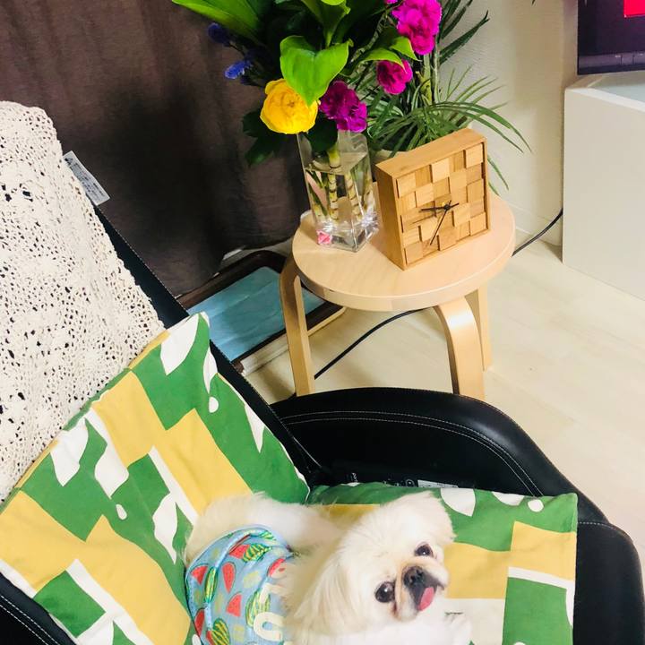 B44cffee 5ace 4f7d 9e06 800ef3f016e7 1566391106070