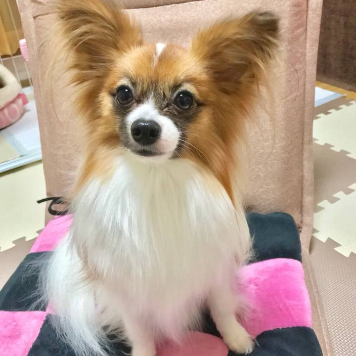 B44d38a2 cb68 4dda 90a8 232ad6b0ff22 1521979437774