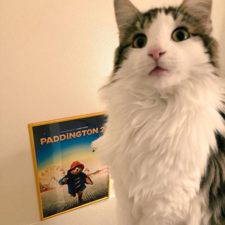 B44d545e 3776 43df 8f18 9e6b9851dc4d 1539004894680