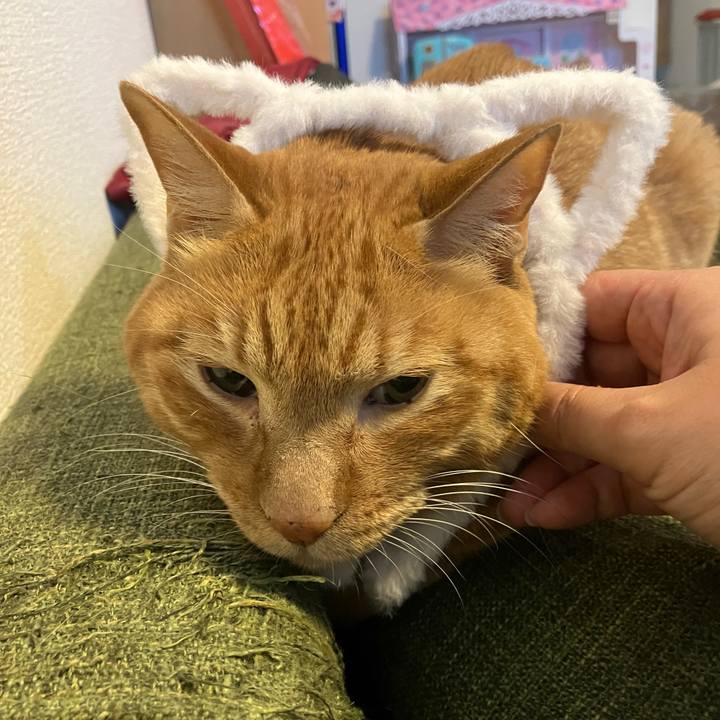 B44d570e eb35 4c99 b15a 3d070493d40b 1762730070056