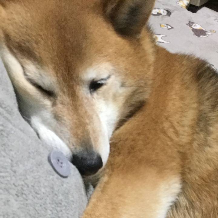 B44d5a5d 8313 4533 8cb0 9a9956fce3c3 1614601012517