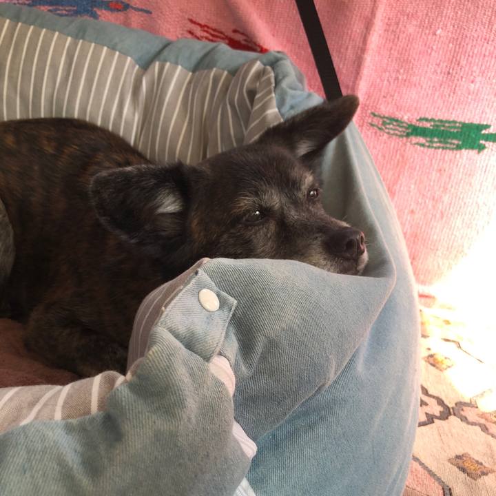 B44d5b9c b9e0 48cc b257 d4781507ae01 1678664845324