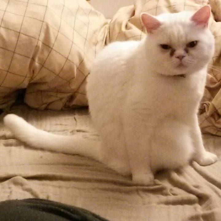 B44da46c 30b6 4dfa 920b aa9b818c3aa5 1508592574405