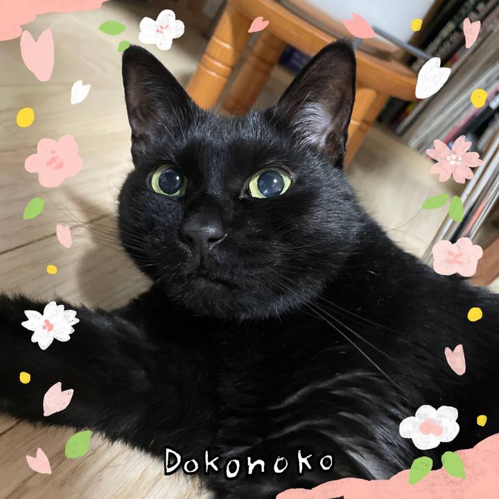 B44db7e5 18df 4795 92fb b02841df4946 1711201373278