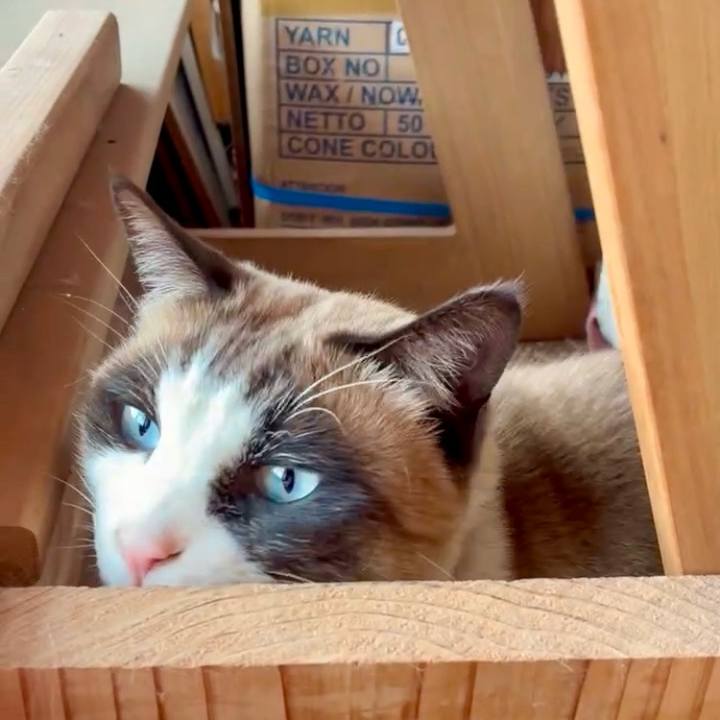 B44e33e7 0074 4bb8 baad 8d1b06549a7d 1768572572116