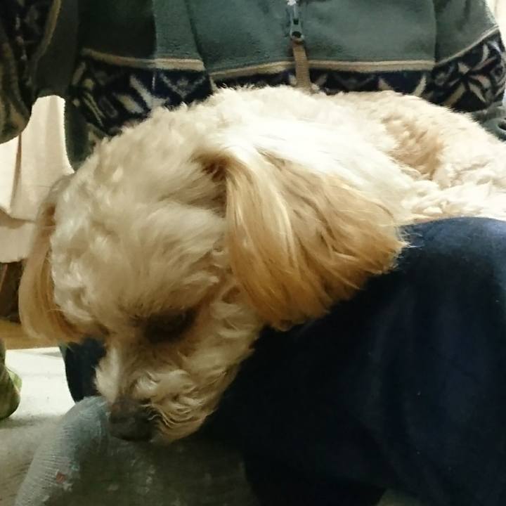 B44e3804 ec62 49be aff6 fa52e78934c9 1553307671979