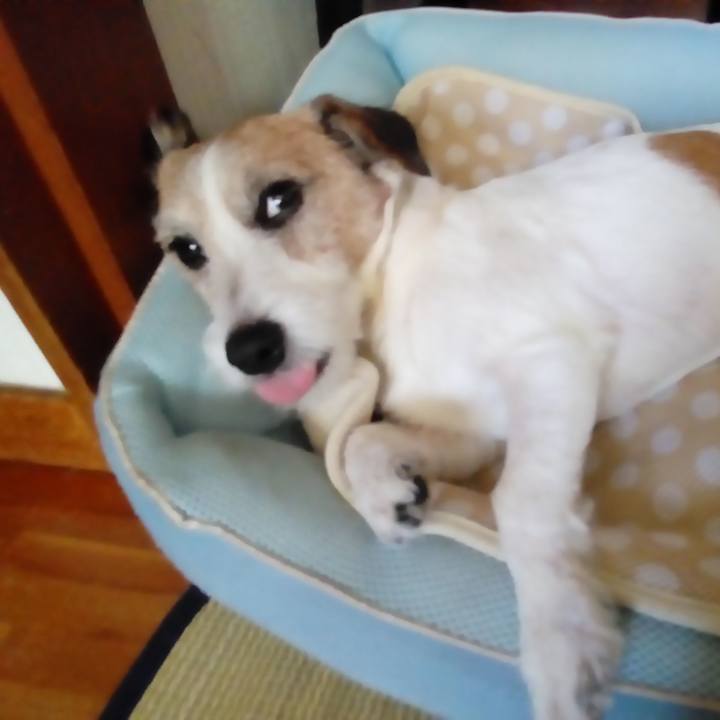 B44e52de a556 4ce9 8681 f71232678315 1534849637723