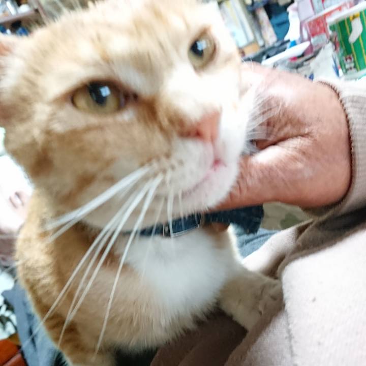 B44e71c3 ede4 4f34 9375 c749b723dbb6 1560635385308