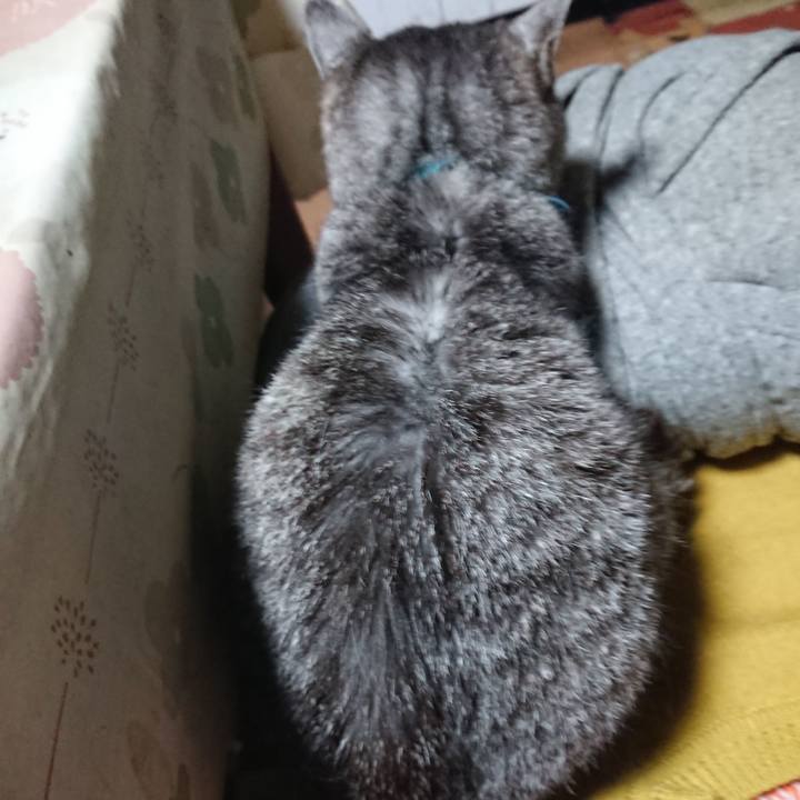 B44ee359 223b 4f8e b1cc cce9186eede8 1572002022882