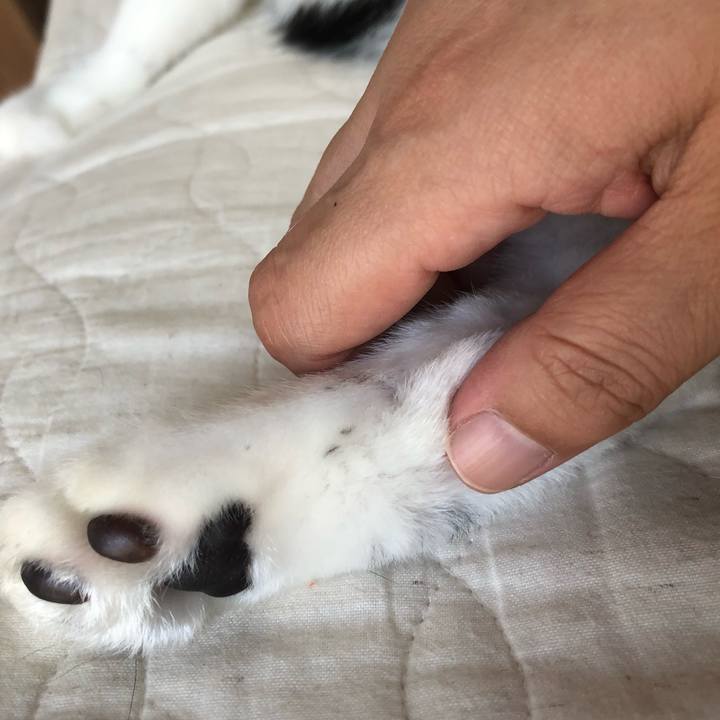 B44ee4bc 7949 48b4 9afc 8088661c770c 1566718059839