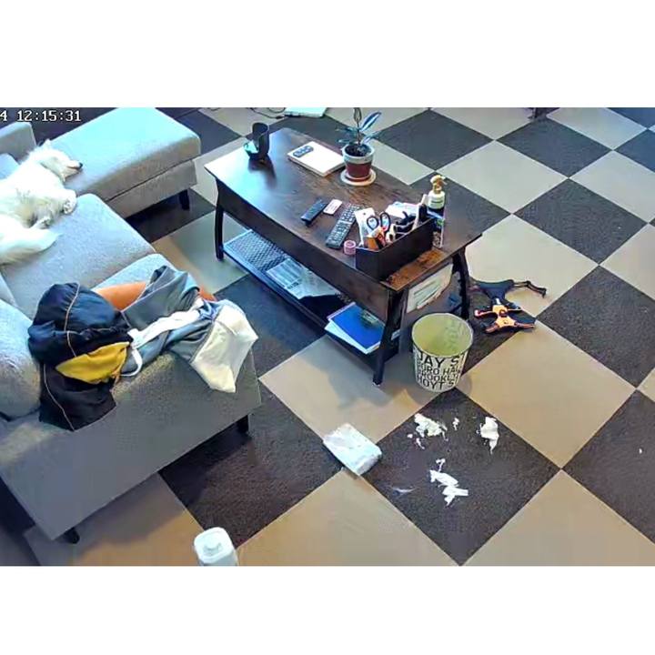 B44f44cb 2a56 4e8d adda b876280def85 1730690310800