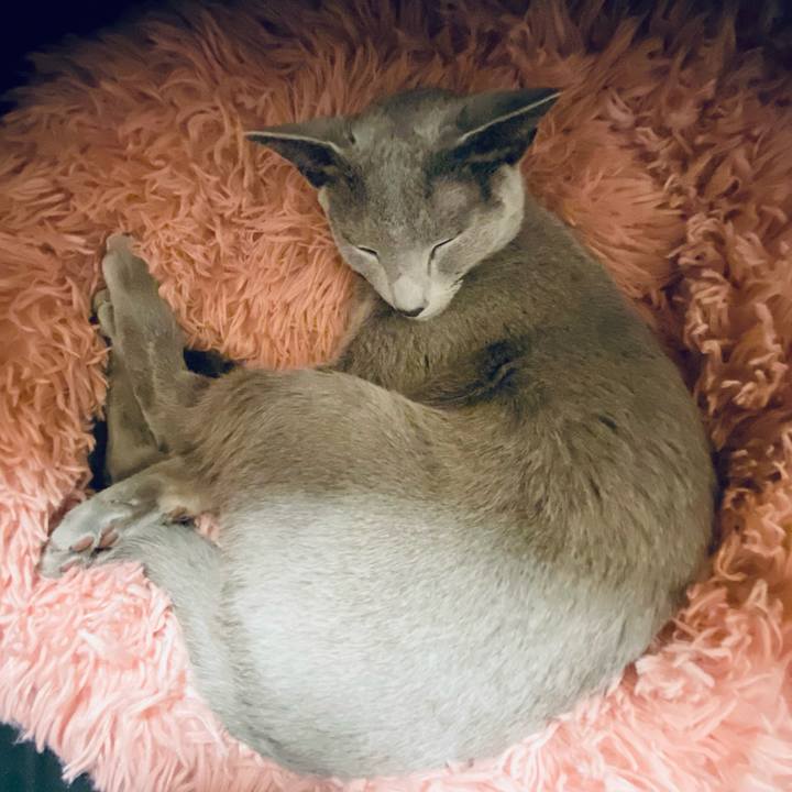 B44f6012 3e85 4c24 b759 7a1532017ec6 1645147278657