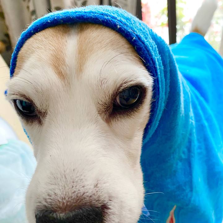 B44fc54c 3afe 4bdb 9437 1f7ab7b16e25 1617508122901