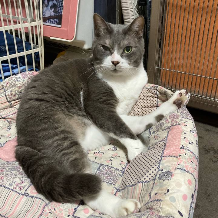 B44fd374 1284 4e7b 87f9 8e71d6ea1686 1711926968956