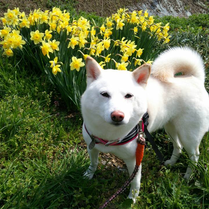 B4500e0d 2be3 450f 8394 18b600dcc219 1553915490051