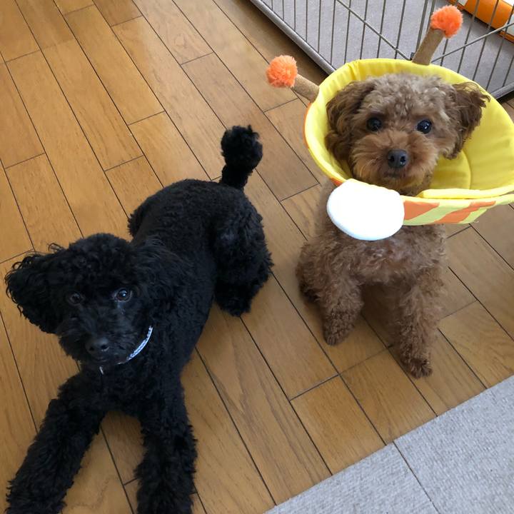 B450277e efa9 426b 9558 ec72da2ff839 1540080836705