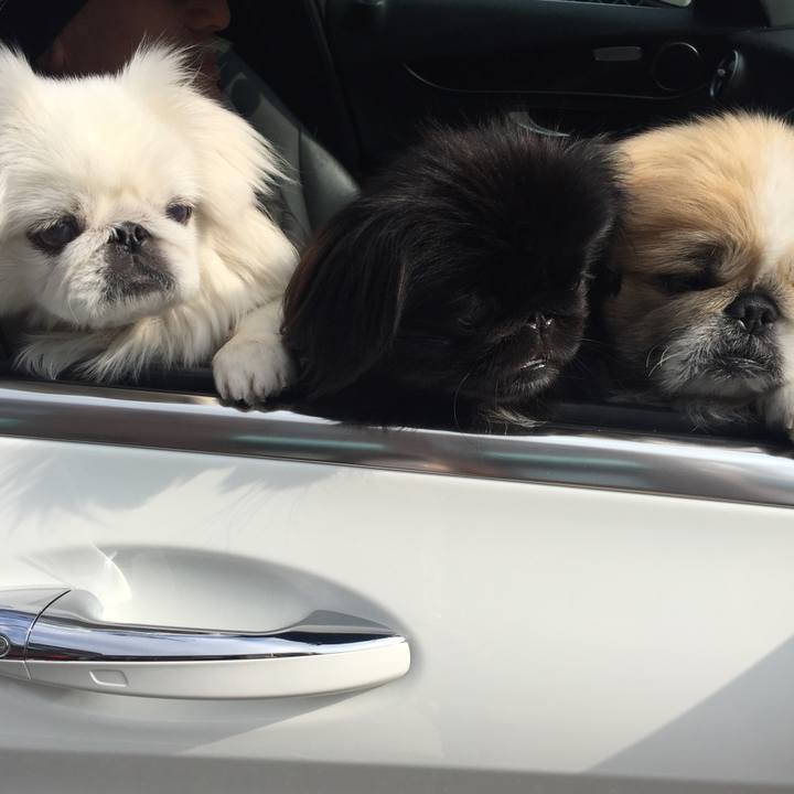 B4502b46 47e4 4c90 8edb 1ec352abee6c 1516420797479