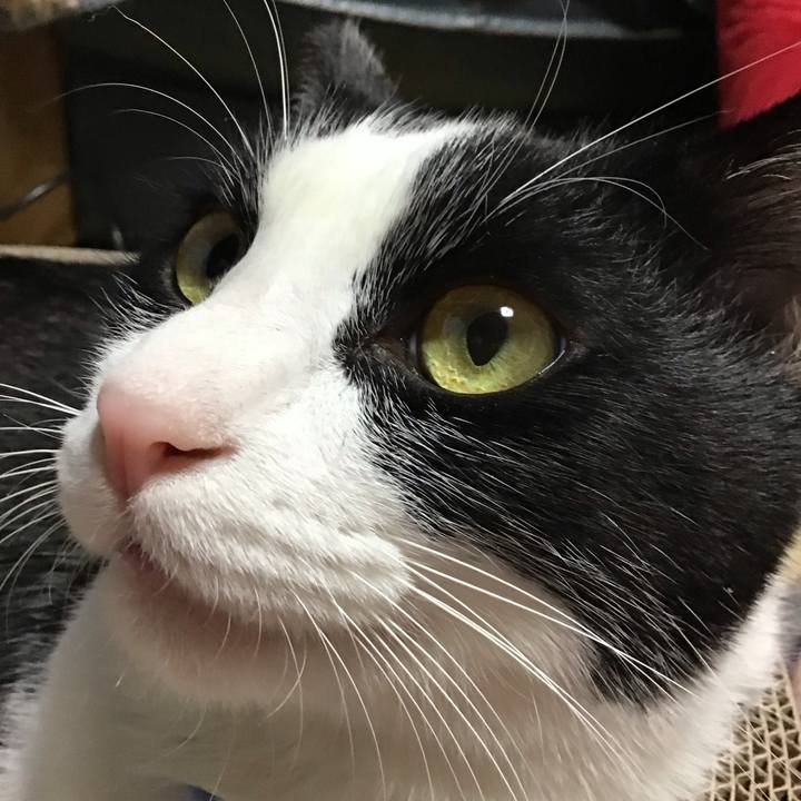 B45046e1 5cfb 47e0 a5ac f41693953174 1697964168448