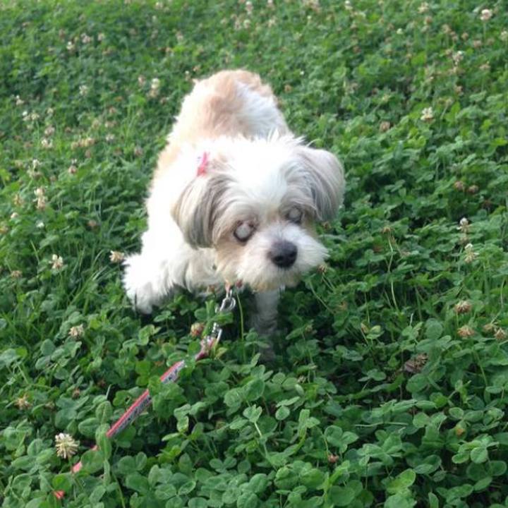 B450de80 51de 475c a88b a584f818129c 1558309680199