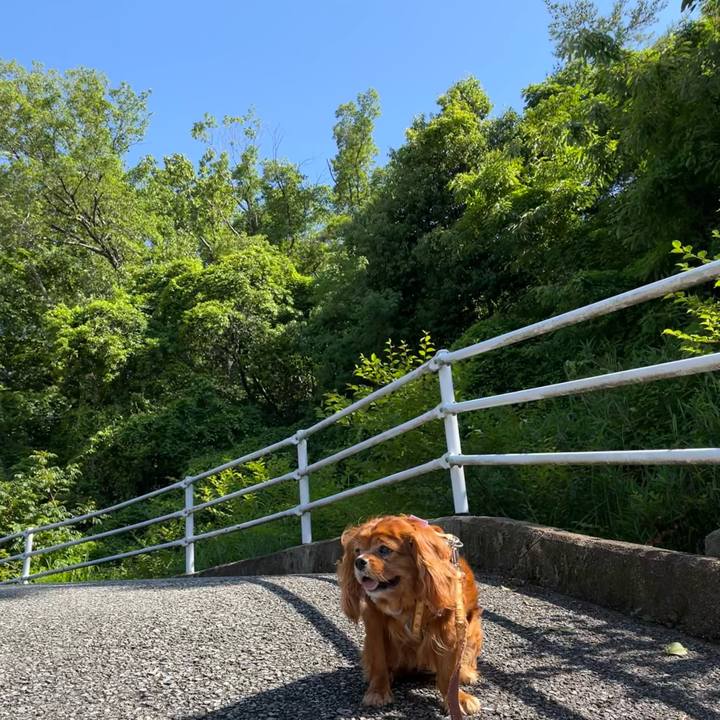 B4510be4 41ac 4c2c b0cb f6db41202ff1 1685836695044