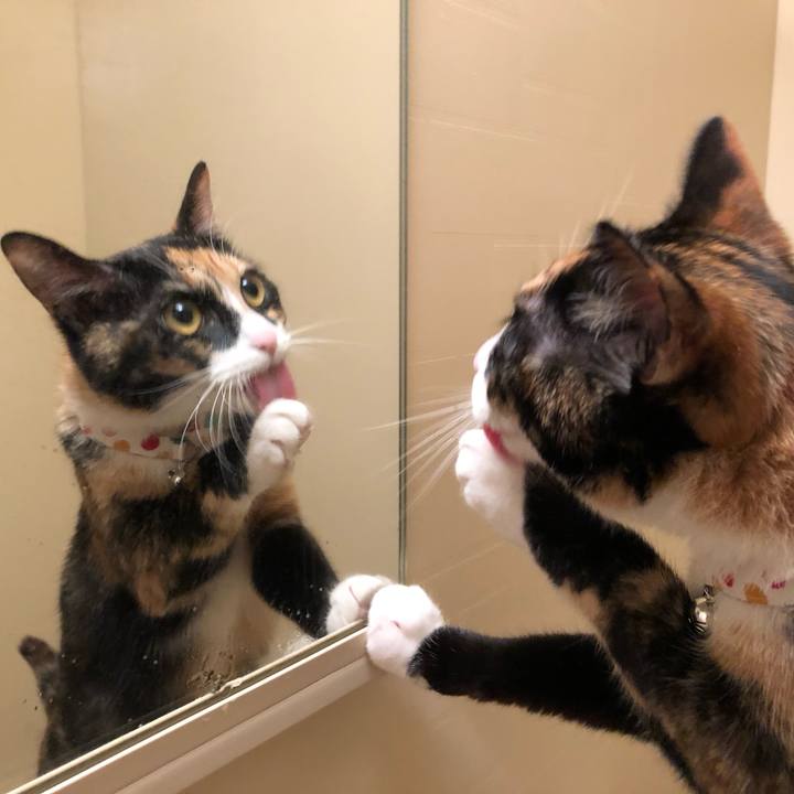 B4512f62 c7a3 4ea3 82e9 654775fa43c3 1560079436111