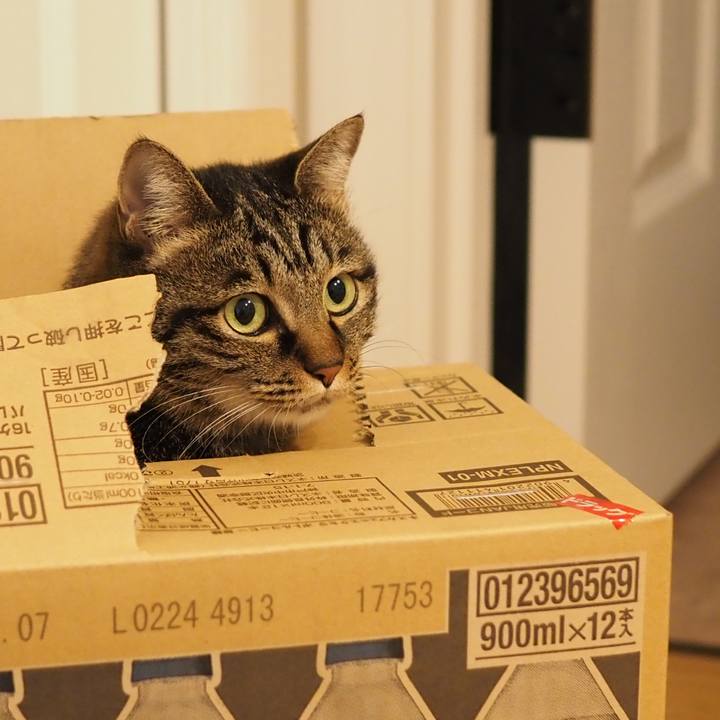 B4517579 fd8d 45e5 99d5 9633b16ff532 1606542531141