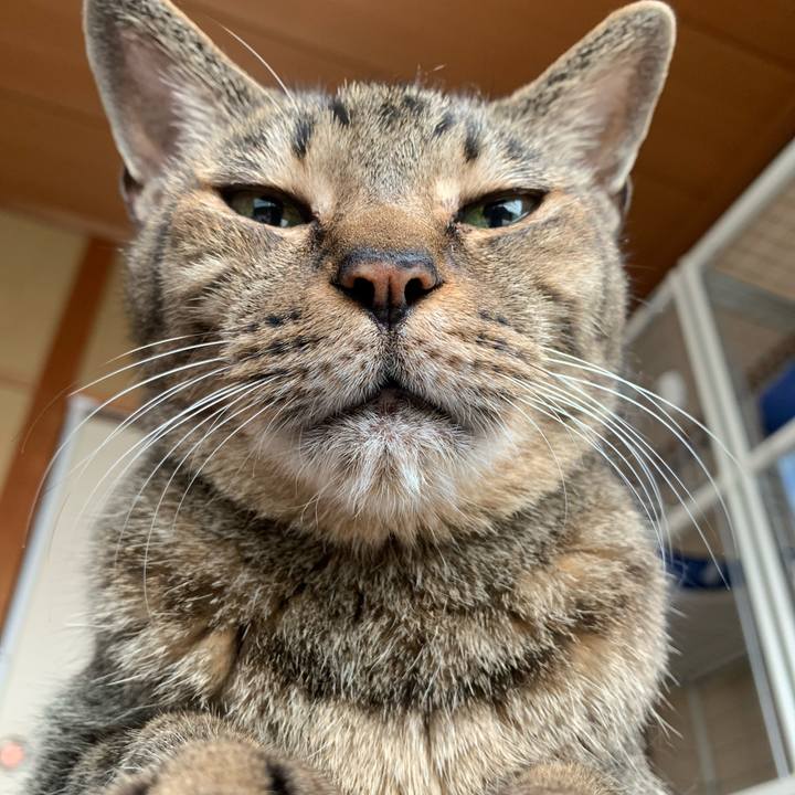 B4518ee2 b242 493b 8ede 9396c429f26b 1595639652668